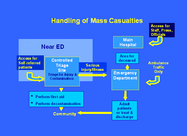 Zones in medical facility at mass casualty incident