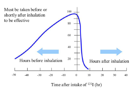 Protection of the thyroid gland by KI from inhaled iodine-131 as a function of the time of administration