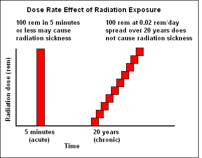 Dose Rate Effect of Radiation Exposure